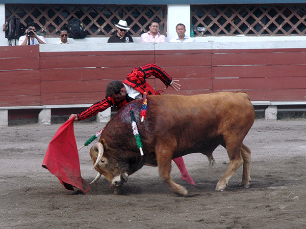 Toreo en la linea del ejemplar