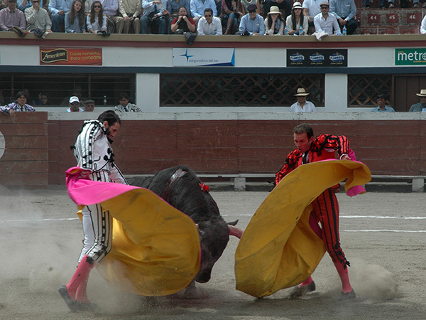 Suertes poco vistas en las plazas
