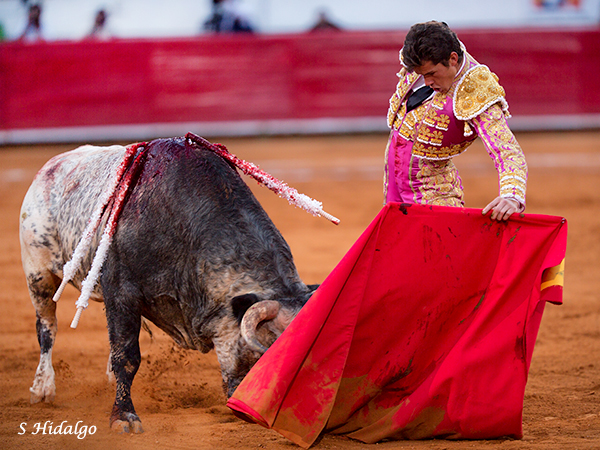 Faena con sentimiento