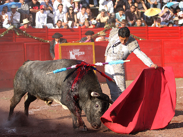 Un natural con temple