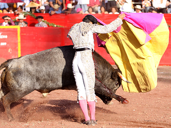 Una tafallera aguantando el arre�n
