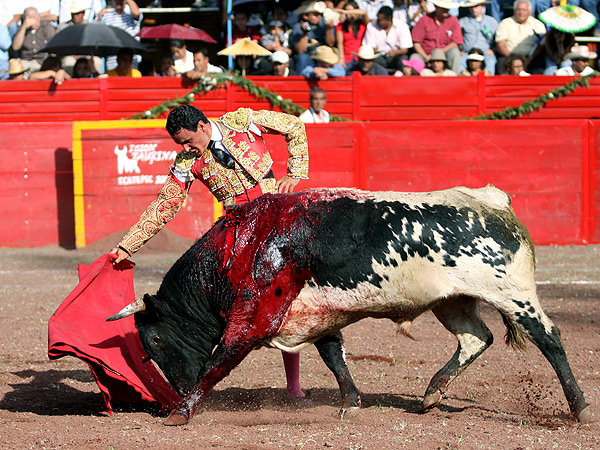 Alargando el muletazo