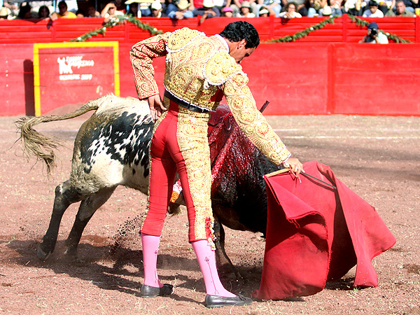Componiendo la figura