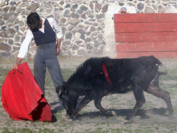 Llev�ndola muy toreada