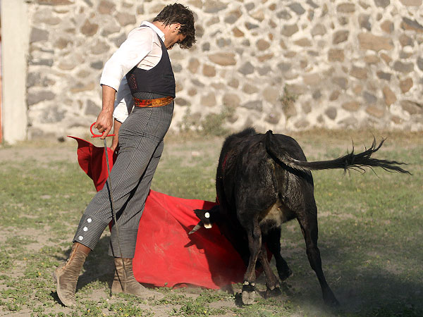 Sintiendo el muletazo