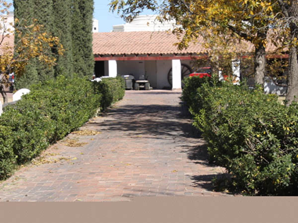 Andador de truenos y barro