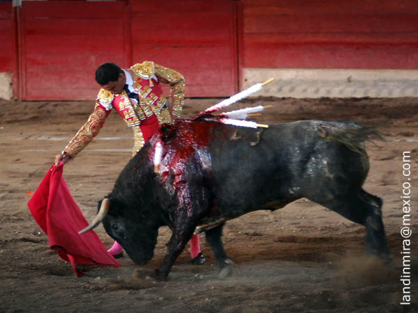 La derecha de Sp�nola