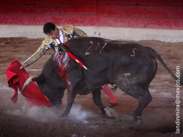 Flores con su segundo