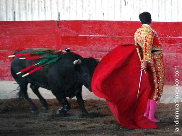 Cambiado por la espalda