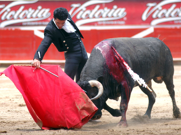 En �ptimas condiciones