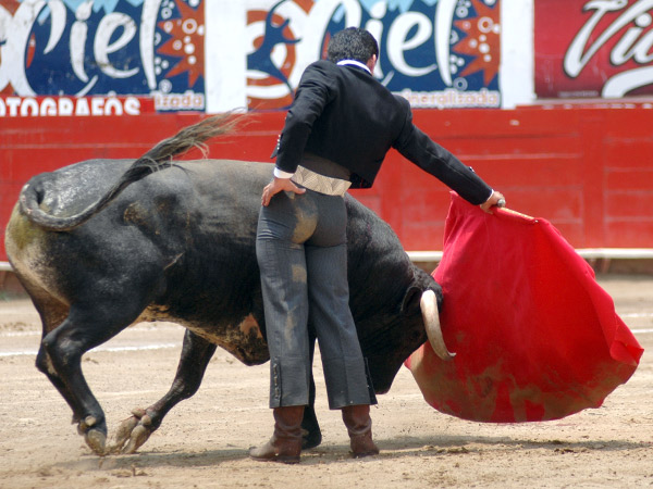 Sentado en los ri�ones