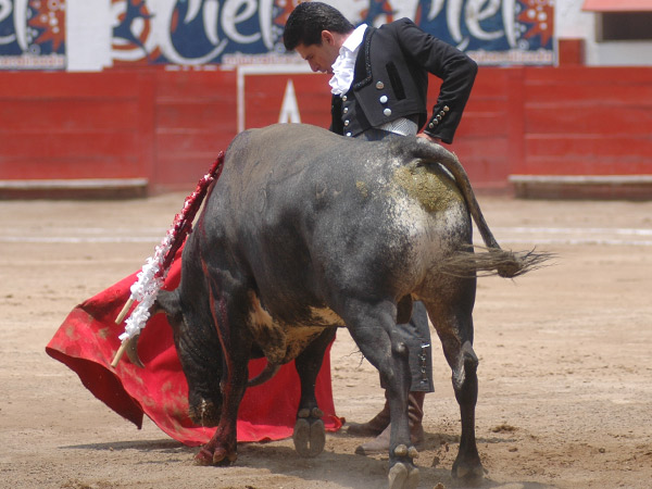 Con la t�cnica bien cimentada