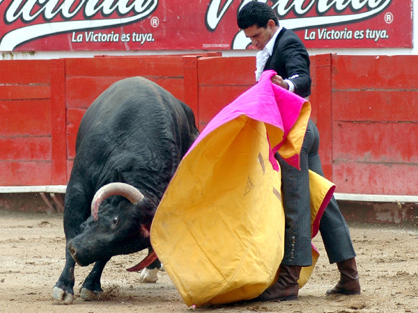Esperanzador regreso