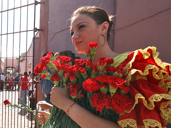 Sol, claveles y belleza