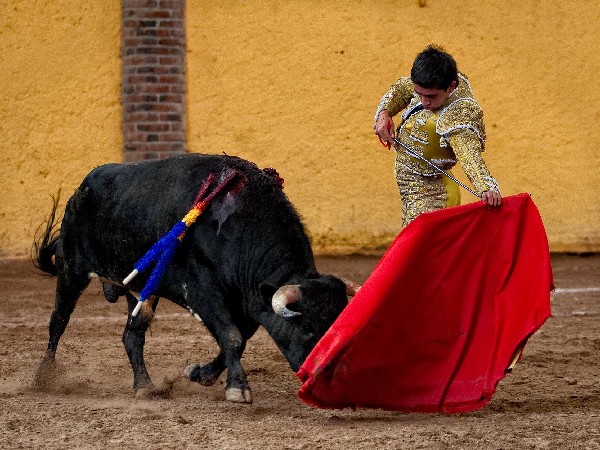 Terso el pase natural