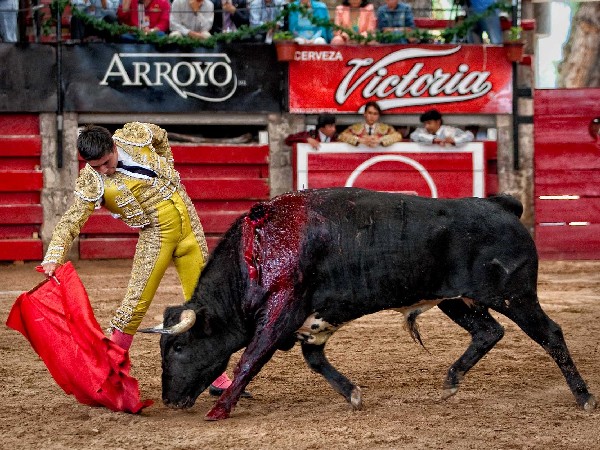 Embarcando bien la embestida