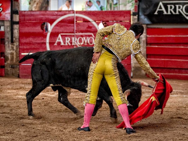 Y tambi�n con la sarga