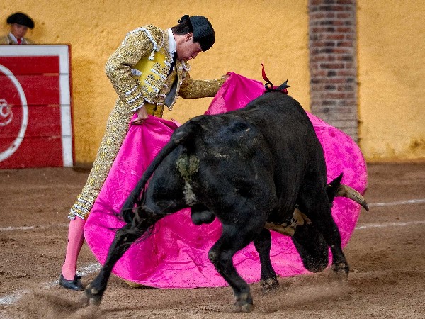 Mostr� sus credenciales con la capa