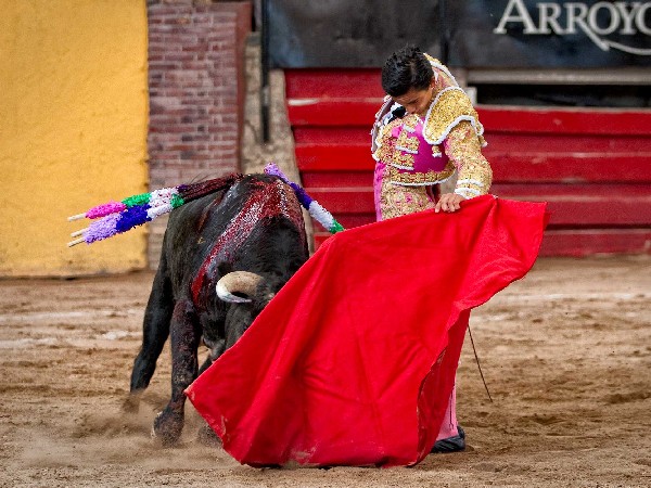 Bord� el toreo al natural