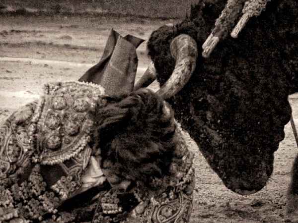 Le apunt� a la cabeza