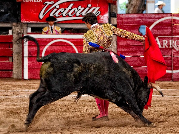 Emocionante inicio de faena