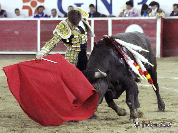 Regusto en la muleta