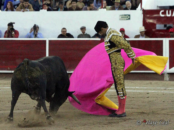 Revolera en el remate