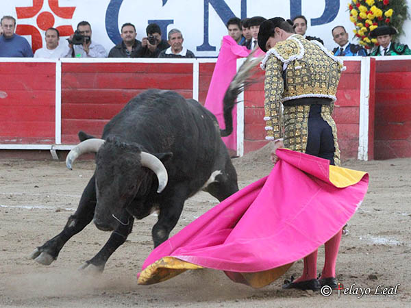 Desmayando los brazos