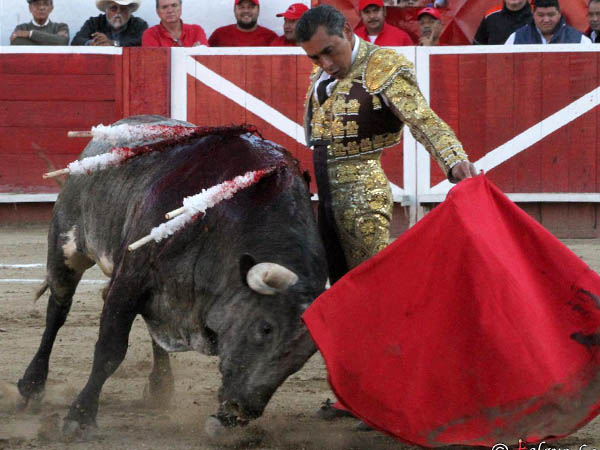 Tirando del ejemplar