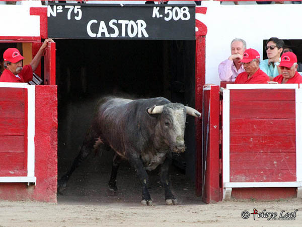 Tocado del izquierdo