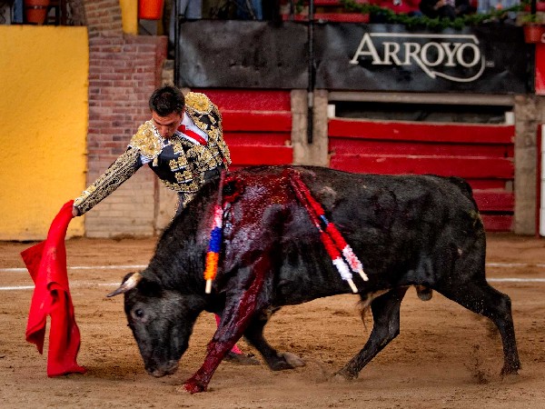 Muy asentado por derechazos