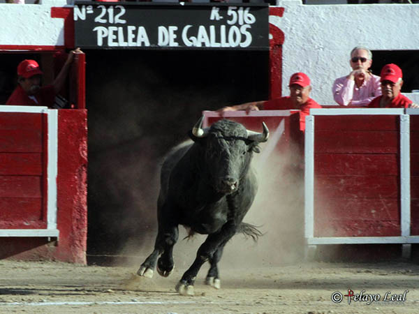 A prop�sito de la feria