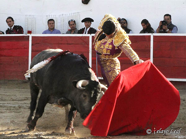 Torero de duende