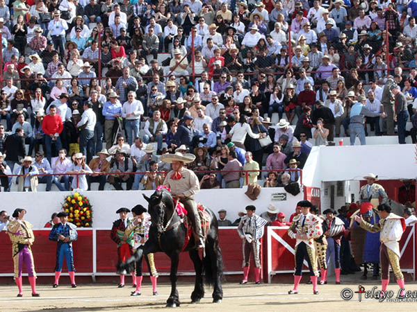 Llenazo, el s�bado en Le�n