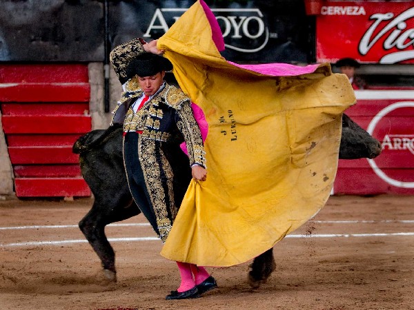 Quit� por caleserinas