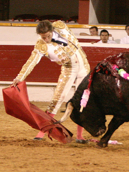 En torero anduvo Fausto