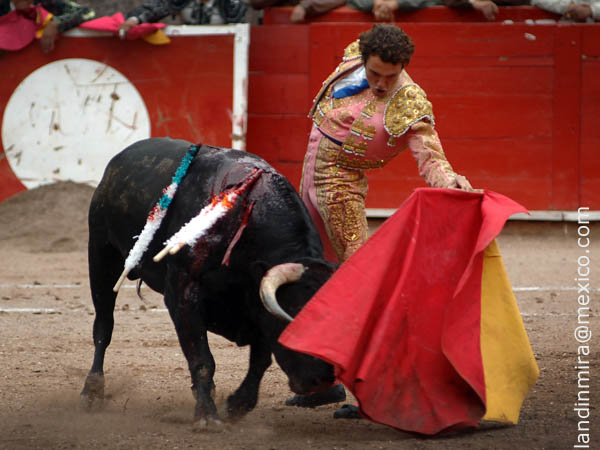 Terso por la izquierda