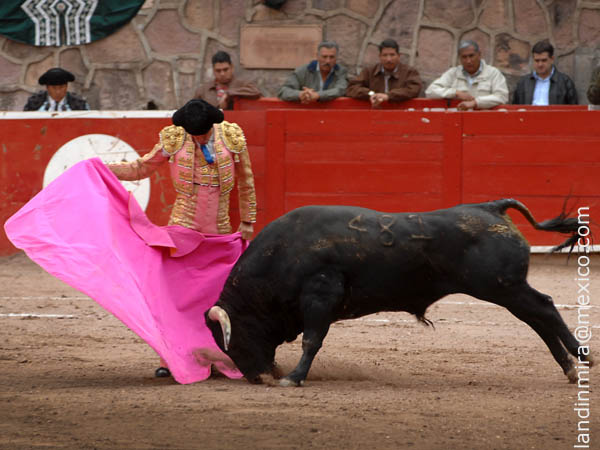 Ver�nicas de Roberto