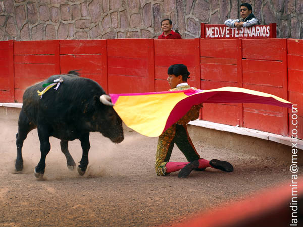 El saludo de Antonio Romero