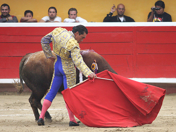 Vertical y cl�sico