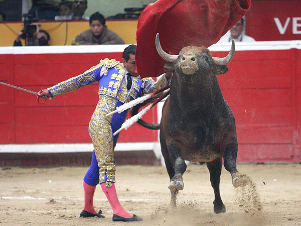 Todo el toro por delante