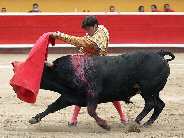 Trag�ndole en el de pecho