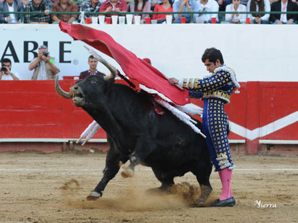 Faena muy variada y vistosa