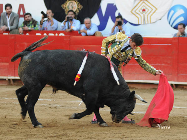 Qued� alto el list�n en GDL