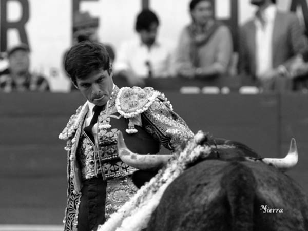 Consciente que deb�a arrear m�s