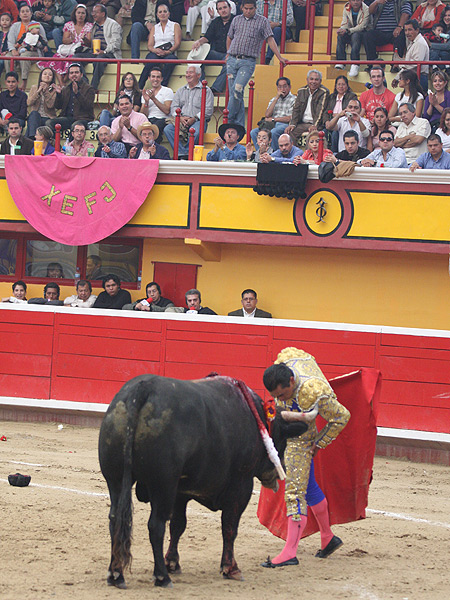 Una magn�fica entrada