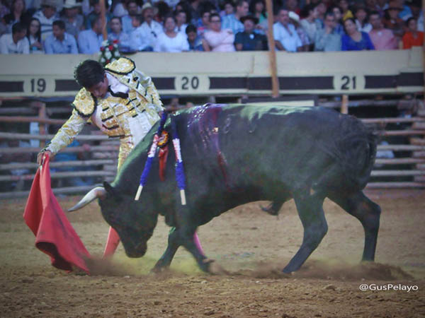 Sentimiento en la muleta