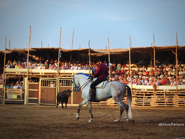 Calibrando a la distancia
