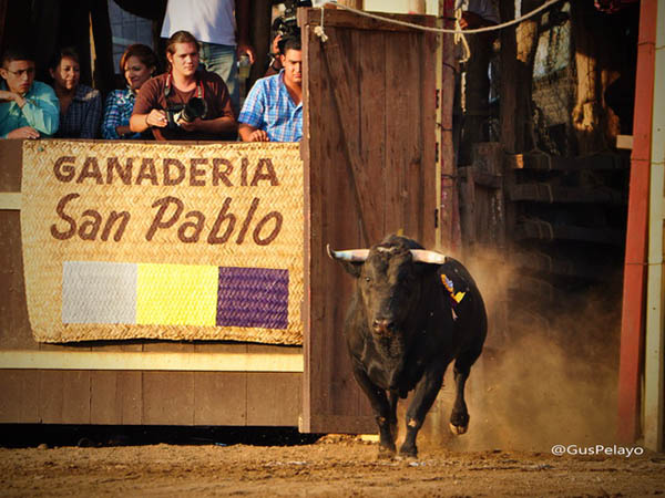 Con la divisa de San Pablo