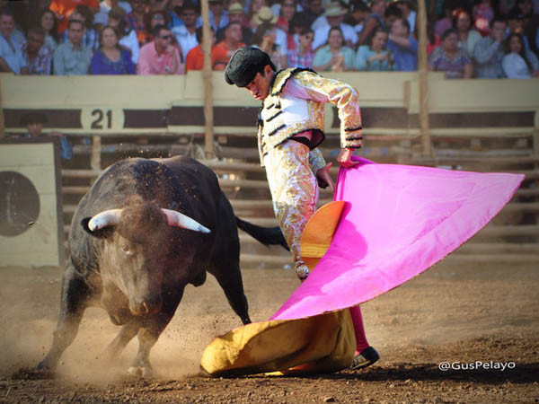 Los vuelos del capote